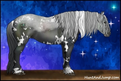 Horse Color:White Spotted Black Sabino