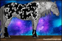 Horse Color:Liver Red Roan Tobiano Appaloosa