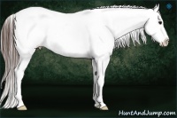 Horse Color:Brown Sabino Snowcap Rabicano