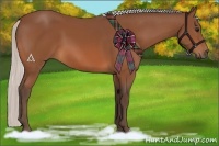 Horse Color:Silver Bay 