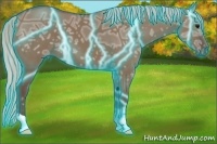 Horse Color:Thunderstruck Silver Grullo Ice