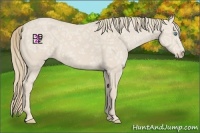 Horse Color:Smoky Creme Ice 