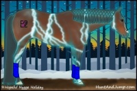Horse Color:Thunderstruck Bay 