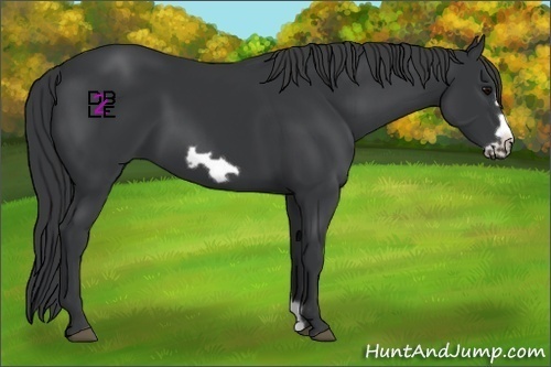 Horse Color:Black Frame