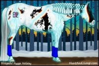Horse Color:Thunderstruck White Spotted Black Splash Appaloosa