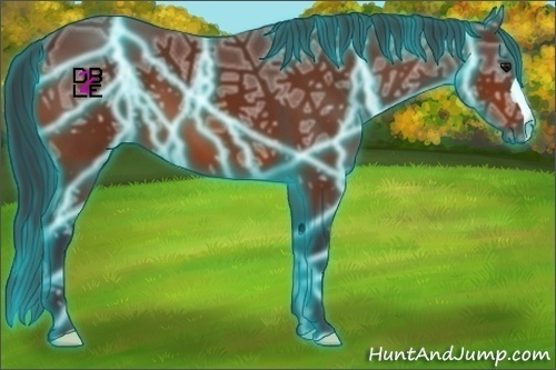 Horse Color:Thunderstruck Bay Ice 