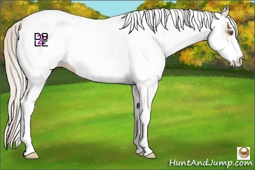 Horse Color:White Spotted Silver Bay Pearl