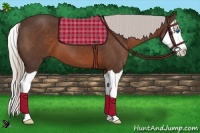 Horse Color:Silver Brown Splash
