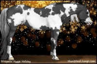 Horse Color:White Spotted Smoky Blue Roan Frame 