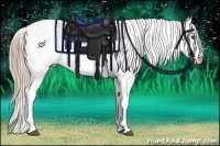 Horse Color:Chestnut Ice Appaloosa