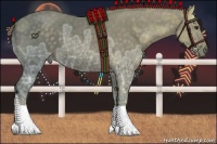 Horse Color:Chocolate Palomino Ice