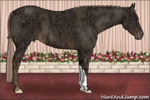Horse Color:Chocolate Palomino Ice 