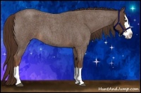 Horse Color:Liver Red Roan Splash 