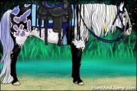 Horse Color:Watercolor Bay Sabino Appaloosa