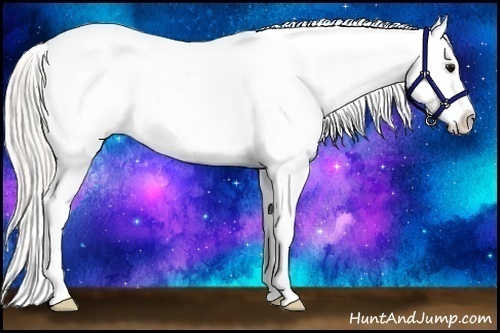 Horse Color:Silver Smoky Blue Roan Appaloosa 