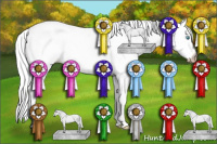 Horse Color:Gray Buckskin Pearl Splash Tobiano