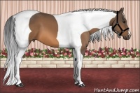 Horse Color:Buckskin Tobiano