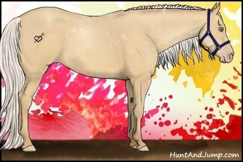 Horse Color:Silver Amber Cream Champagne Roan