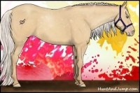 Horse Color:Silver Amber Cream Champagne Roan 