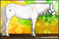 Horse Color:White Spotted Chocolate Palomino Ice Roan Pearl