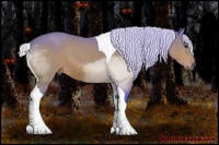 Horse Color:Watercolor Silver Bay Tobiano 