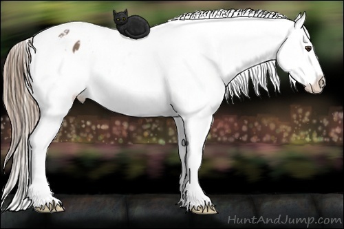 Horse Color:Liver Chestnut Snowflake Varnish 