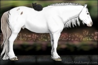 Horse Color:Liver Chestnut Snowflake Varnish 