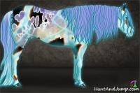 Horse Color:Thunderstruck Watercolor Bay Sabino Splash Blanket Rabicano 