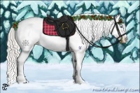 Horse Color:Chocolate Palomino Pearl Sabino Varnish Rabicano 