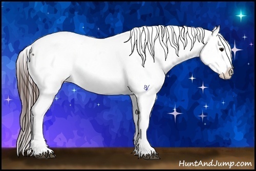 Horse Color:Brown Sabino Snowcap