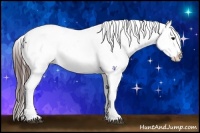 Horse Color:Brown Sabino Snowcap 