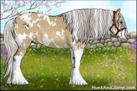 Horse Color:White Spotted Silver Bay Dun Sabino