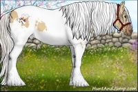 Horse Color:White Spotted Silver Bay Dun Tobiano