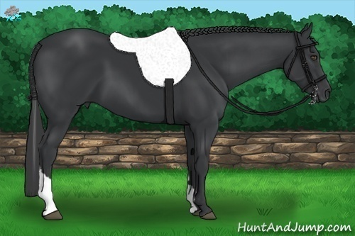 Horse Color:Black Sabino Tobiano