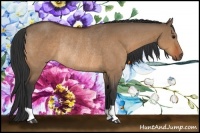 Horse Color:Bay Dun Rabicano 