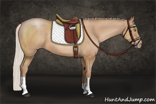 Horse Color:Silver Brown Pearl 