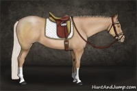 Horse Color:Silver Brown Pearl