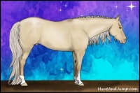 Horse Color:Silver Grullo Pearl 