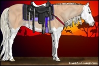 Horse Color:Watercolor Palomino Splash 