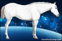 Horse Color:Red Roan Splash Snowcap 