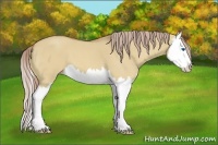 Horse Color:Palomino Roan Dun Splash