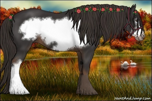 Horse Color:Liver Chestnut Frame 