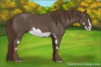 Horse Color:Liver Red Roan Splash Frame