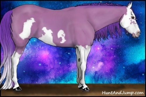Horse Color:Watercolor Bay Splash Frame 