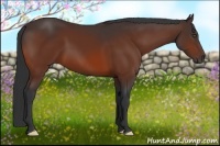 Horse Color:Bay Frame