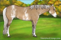 Horse Color:White Spotted Silver Bay Dun