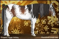 Horse Color:White Spotted Bay Tobiano 
