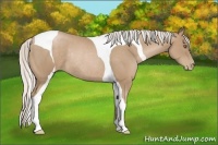 Horse Color:Silver Black Pearl Tobiano Rabicano