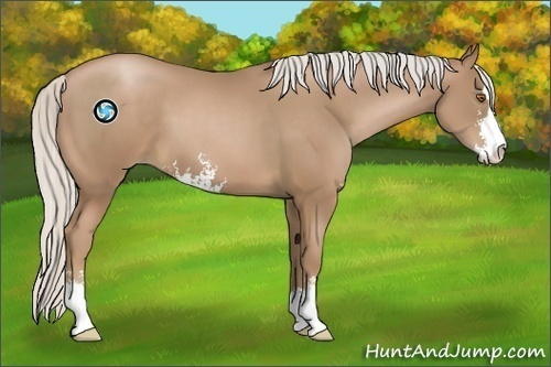 Horse Color:Silver Black Pearl Sabino