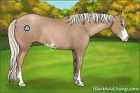 Horse Color:Silver Black Pearl Sabino 